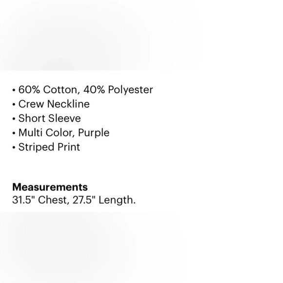 AEROPOSTALE Color Block Purple Stripes Logo Casual T Shirt Size Large NWT - Picture 6 of 10